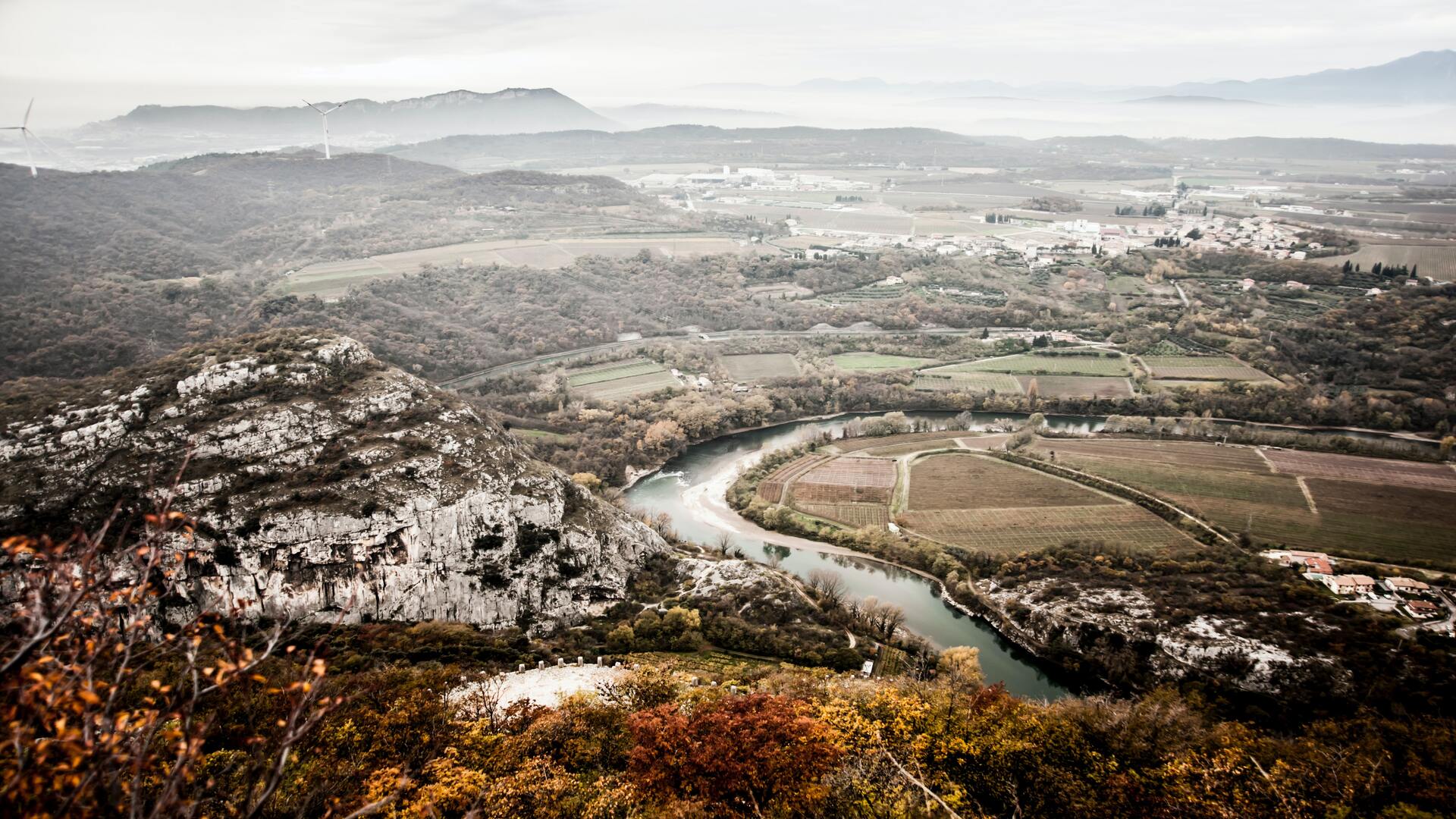 verona natura (1).jpg